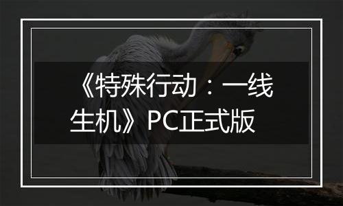 《特殊行动：一线生机》PC正式版