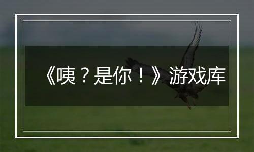《咦？是你！》游戏库