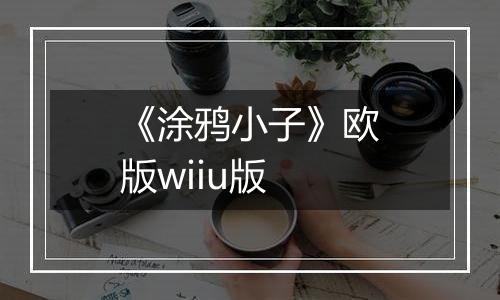 《涂鸦小子》欧版wiiu版