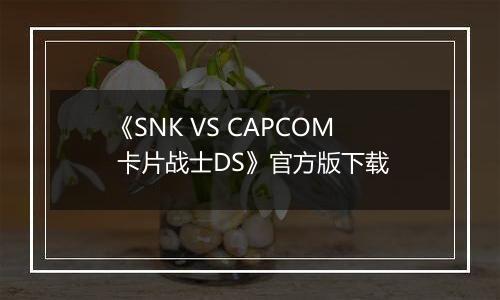 《SNK VS CAPCOM 卡片战士DS》官方版下载