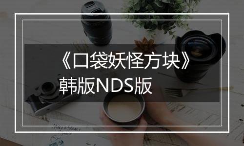 《口袋妖怪方块》 韩版NDS版
