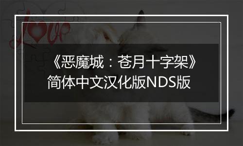 《恶魔城：苍月十字架》简体中文汉化版NDS版