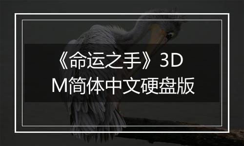 《命运之手》3DM简体中文硬盘版