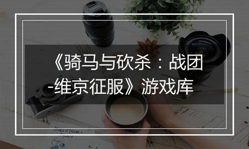 《骑马与砍杀：战团-维京征服》游戏库