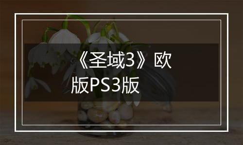 《圣域3》欧版PS3版