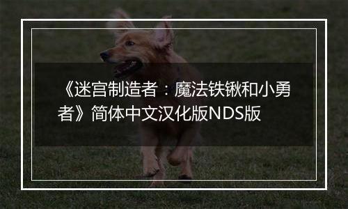 《迷宫制造者：魔法铁锹和小勇者》简体中文汉化版NDS版