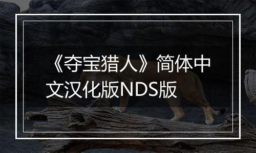 《夺宝猎人》简体中文汉化版NDS版
