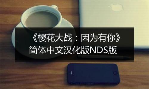 《樱花大战：因为有你》简体中文汉化版NDS版