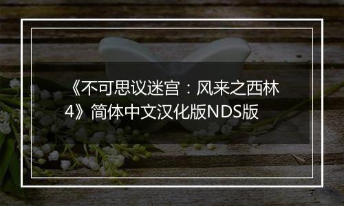 《不可思议迷宫：风来之西林4》简体中文汉化版NDS版