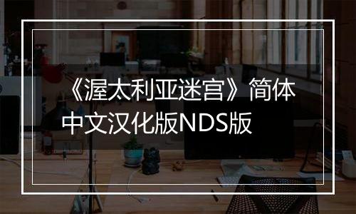 《渥太利亚迷宫》简体中文汉化版NDS版
