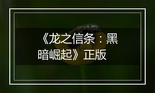 《龙之信条：黑暗崛起》正版