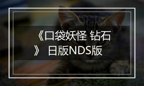 《口袋妖怪 钻石》 日版NDS版