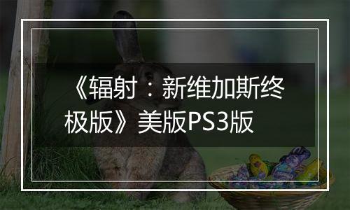 《辐射：新维加斯终极版》美版PS3版