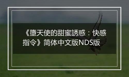 《墮天使的甜蜜誘惑：快感指令》简体中文版NDS版