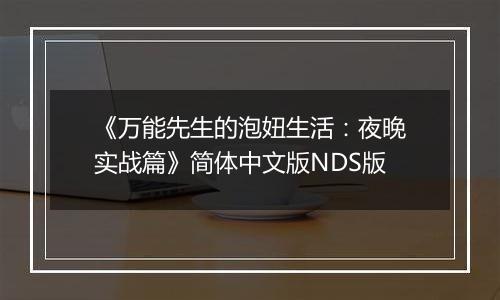 《万能先生的泡妞生活：夜晚实战篇》简体中文版NDS版