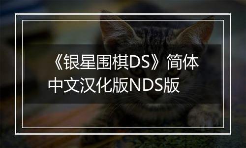 《银星围棋DS》简体中文汉化版NDS版