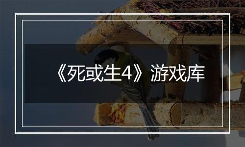 《死或生4》游戏库