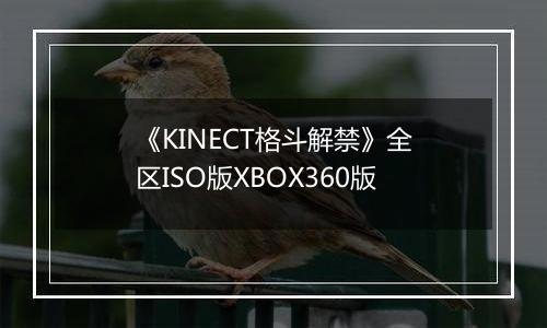 《KINECT格斗解禁》全区ISO版XBOX360版