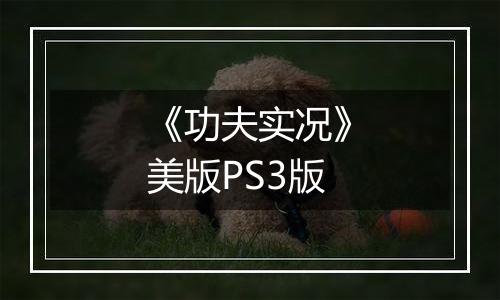 《功夫实况》美版PS3版
