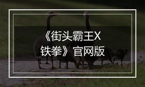 《街头霸王X铁拳》官网版