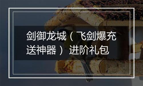 剑御龙城（飞剑爆充送神器） 进阶礼包