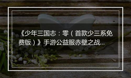 《少年三国志：零（首款少三系免费版）》手游公益服赤壁之战攻略