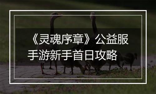 《灵魂序章》公益服手游新手首日攻略