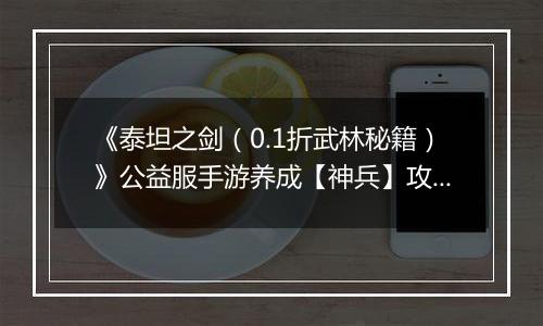 《泰坦之剑（0.1折武林秘籍）》公益服手游养成【神兵】攻略
