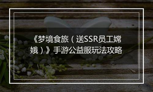 《梦境食旅（送SSR员工嫦娥）》手游公益服玩法攻略