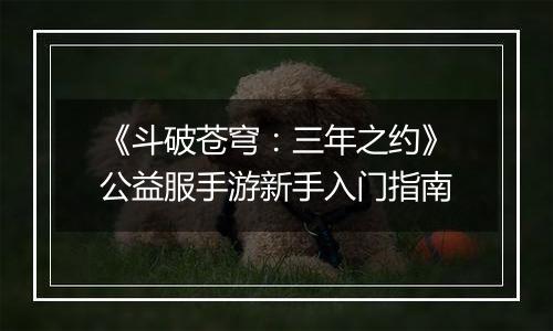 《斗破苍穹：三年之约》公益服手游新手入门指南