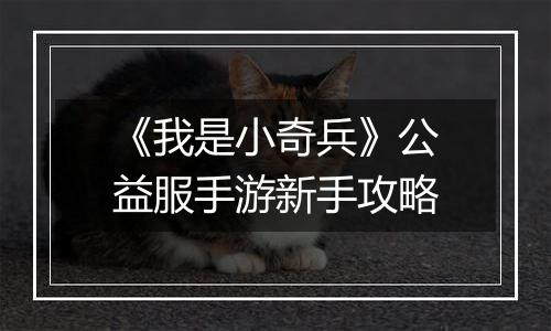 《我是小奇兵》公益服手游新手攻略