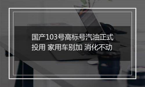 国产103号高标号汽油正式投用 家用车别加 消化不动