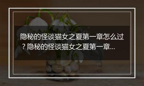 隐秘的怪谈猫女之夏第一章怎么过？隐秘的怪谈猫女之夏第一章游戏图文通关攻略