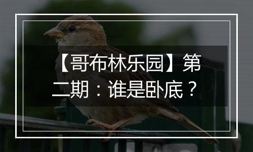 【哥布林乐园】第二期：谁是卧底？