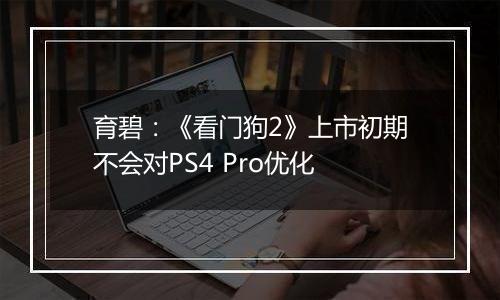 育碧：《看门狗2》上市初期不会对PS4 Pro优化