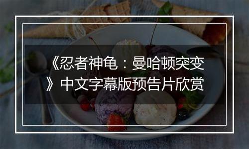 《忍者神龟：曼哈顿突变》中文字幕版预告片欣赏