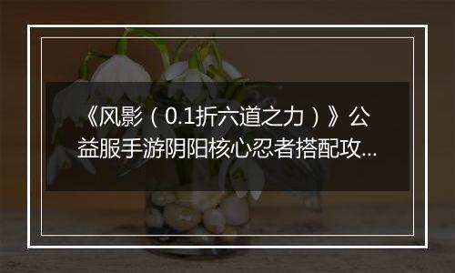 《风影（0.1折六道之力）》公益服手游阴阳核心忍者搭配攻略