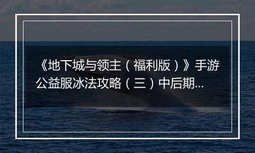 《地下城与领主（福利版）》手游公益服冰法攻略（三）中后期技能搭配