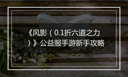 《风影（0.1折六道之力）》公益服手游新手攻略