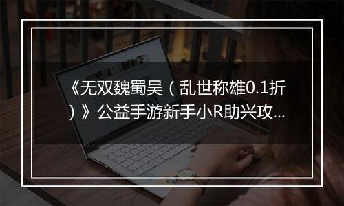 《无双魏蜀吴（乱世称雄0.1折）》公益手游新手小R助兴攻略