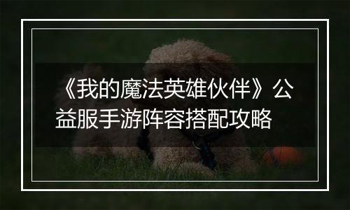 《我的魔法英雄伙伴》公益服手游阵容搭配攻略