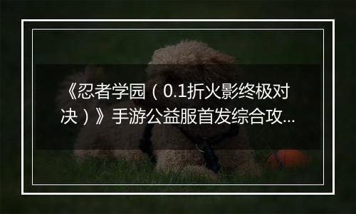 《忍者学园（0.1折火影终极对决）》手游公益服首发综合攻略
