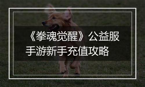 《拳魂觉醒》公益服手游新手充值攻略