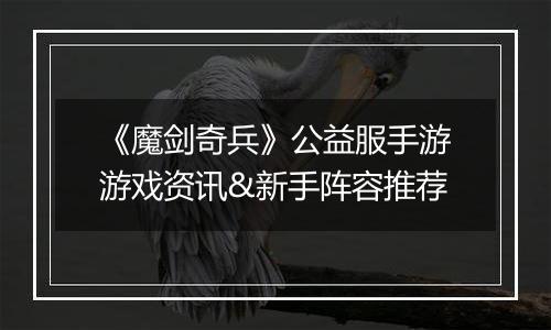 《魔剑奇兵》公益服手游游戏资讯&新手阵容推荐