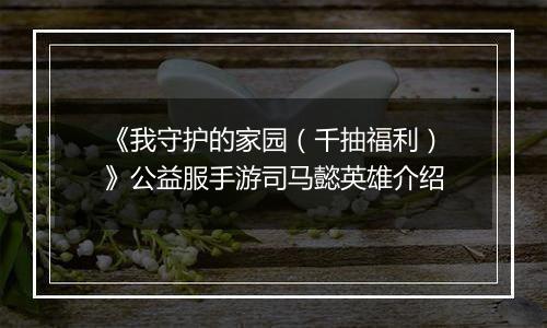 《我守护的家园（千抽福利）》公益服手游司马懿英雄介绍