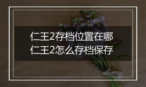 仁王2存档位置在哪 仁王2怎么存档保存