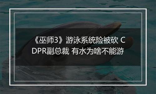 《巫师3》游泳系统险被砍 CDPR副总裁 有水为啥不能游