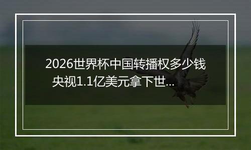 2026世界杯中国转播权多少钱  央视1.1亿美元拿下世界杯转播权
