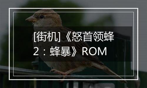 [街机]《怒首领蜂2：蜂暴》ROM