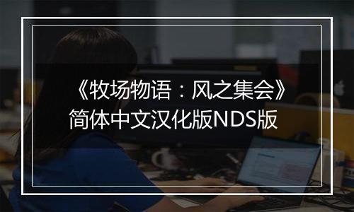 《牧场物语：风之集会》简体中文汉化版NDS版